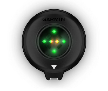 Garmin Blaze Equine Wellness System