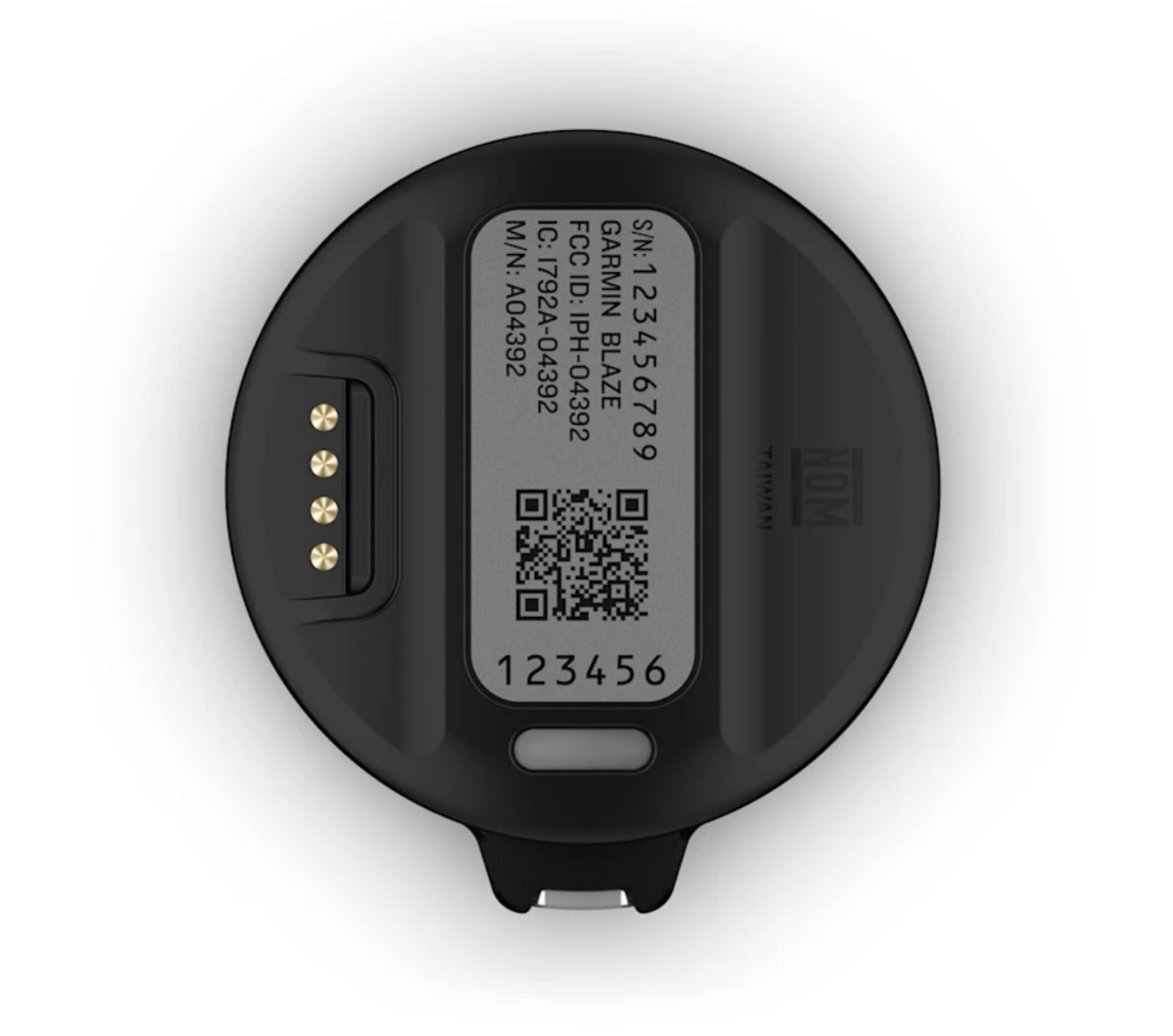 Garmin Blaze Equine Wellness System