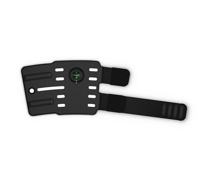 Garmin Blaze Equine Wellness System