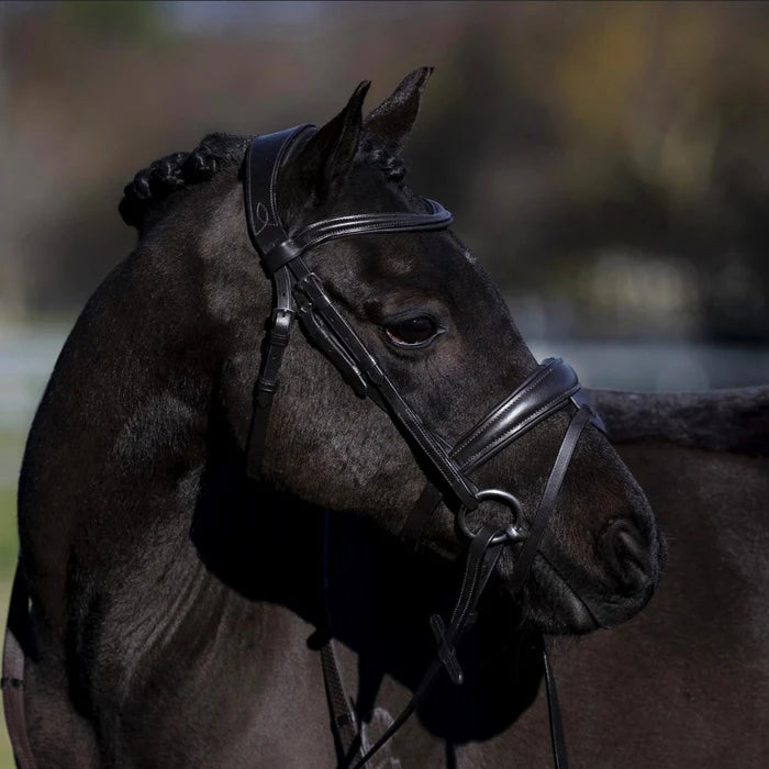 Lumi Pony Mikayla Convertible Bridle - EQ Saddlery