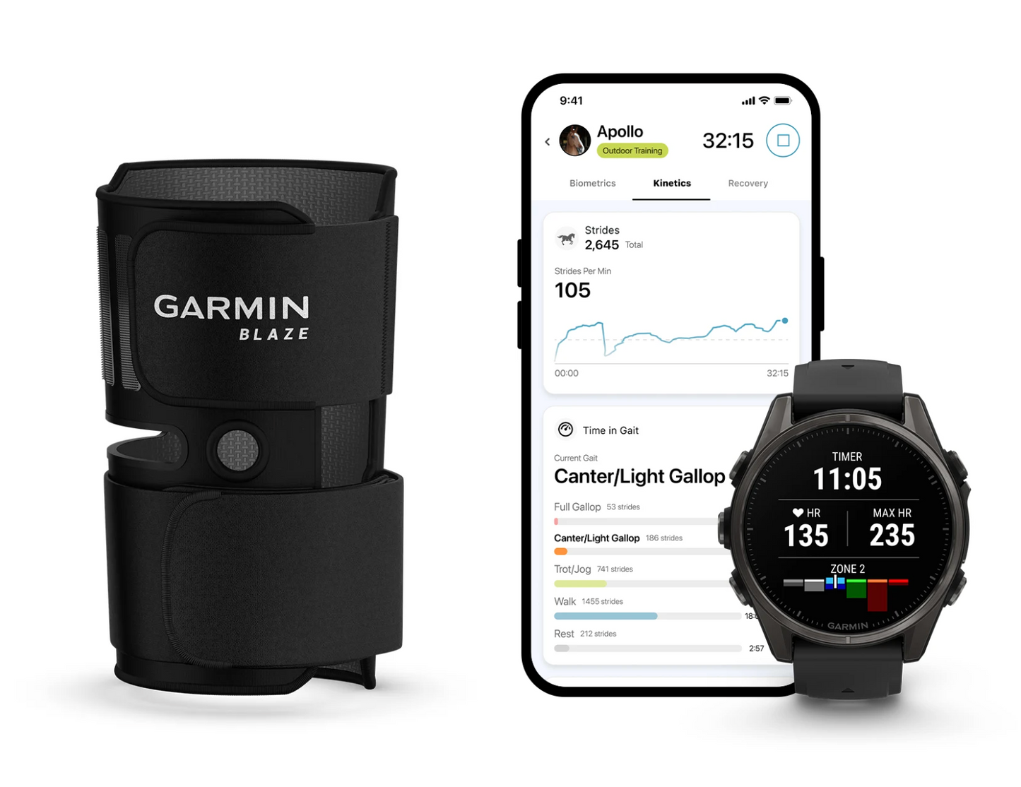 Garmin Blaze Equine Wellness System