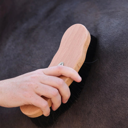 Shires Ezi-Groom Premium Long Dandy Brush