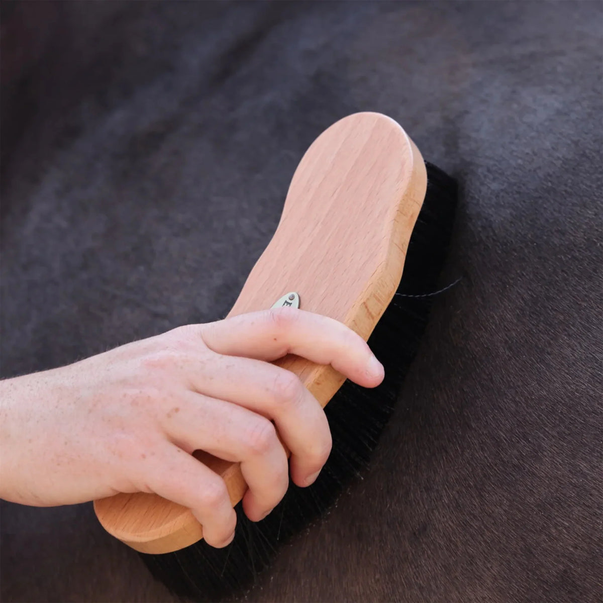 Shires Ezi-Groom Premium Dandy Brush