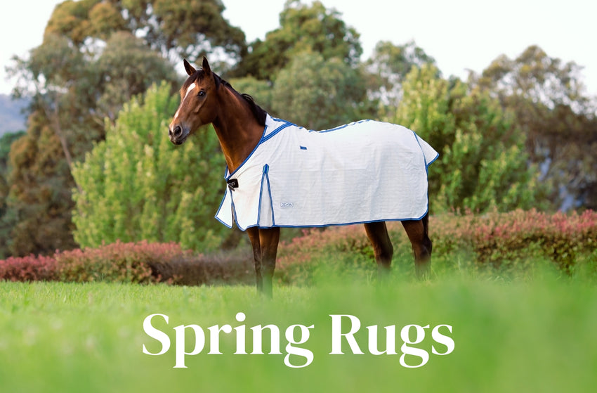 Horse Shop Horse Gear for Sale EQ Saddlery