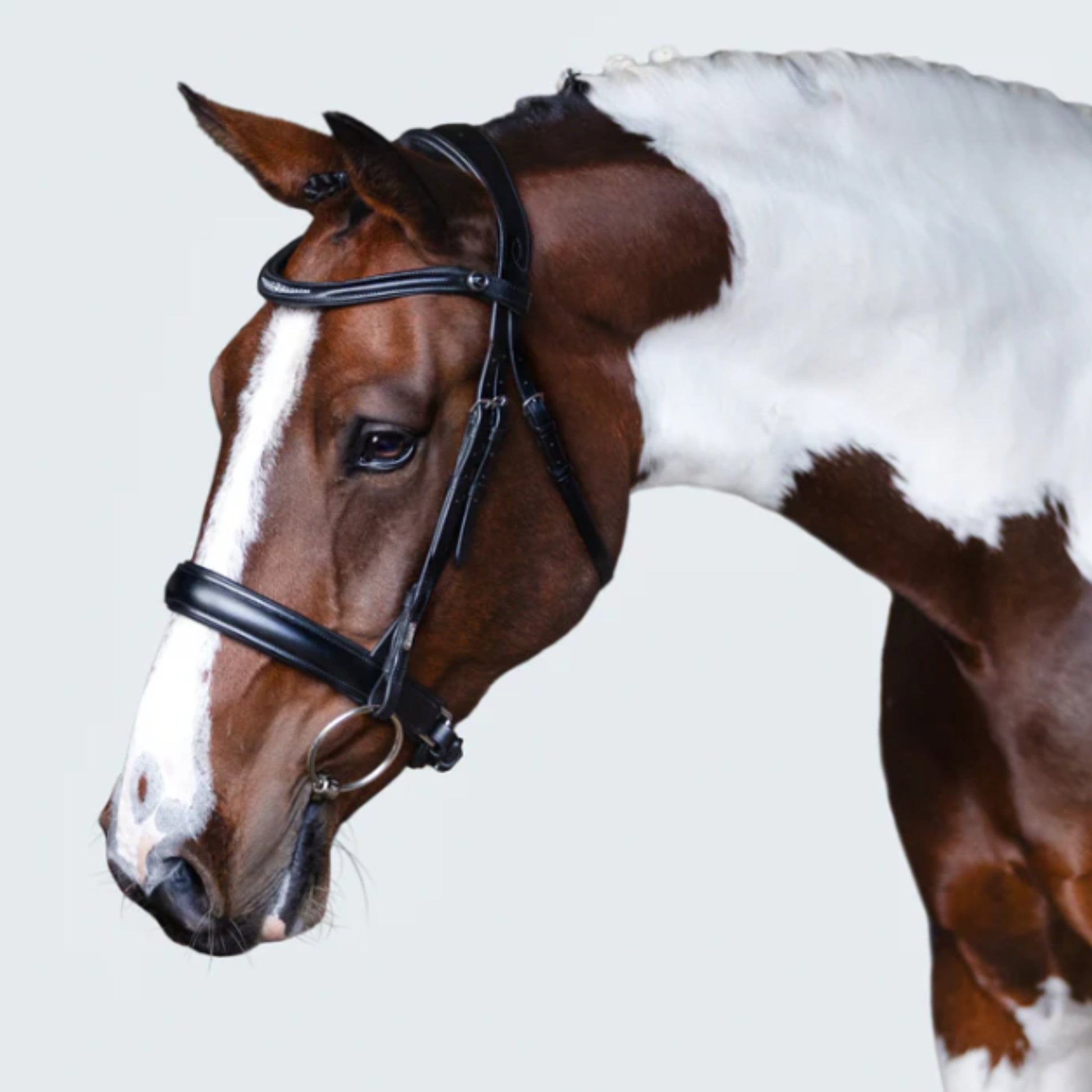 Lumiere Stella Cavesson Bridle - EQ Saddlery