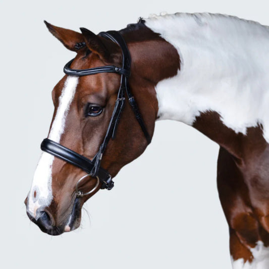 Lumiere Stella Cavesson Bridle - EQ Saddlery