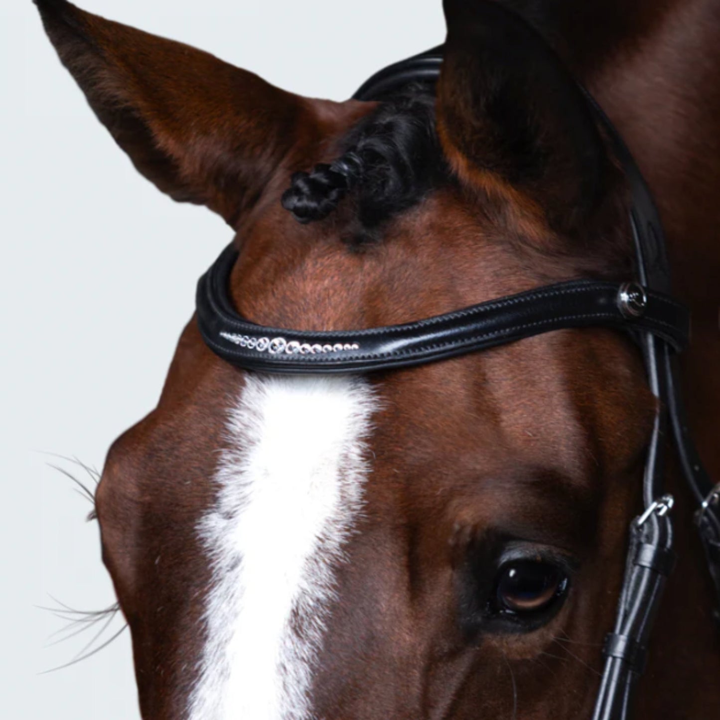 Lumiere Stella Cavesson Bridle - EQ Saddlery