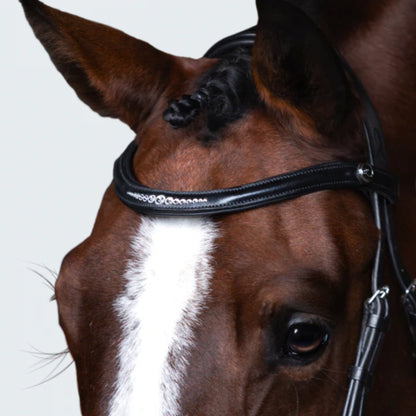 Lumiere Stella Cavesson Bridle - EQ Saddlery