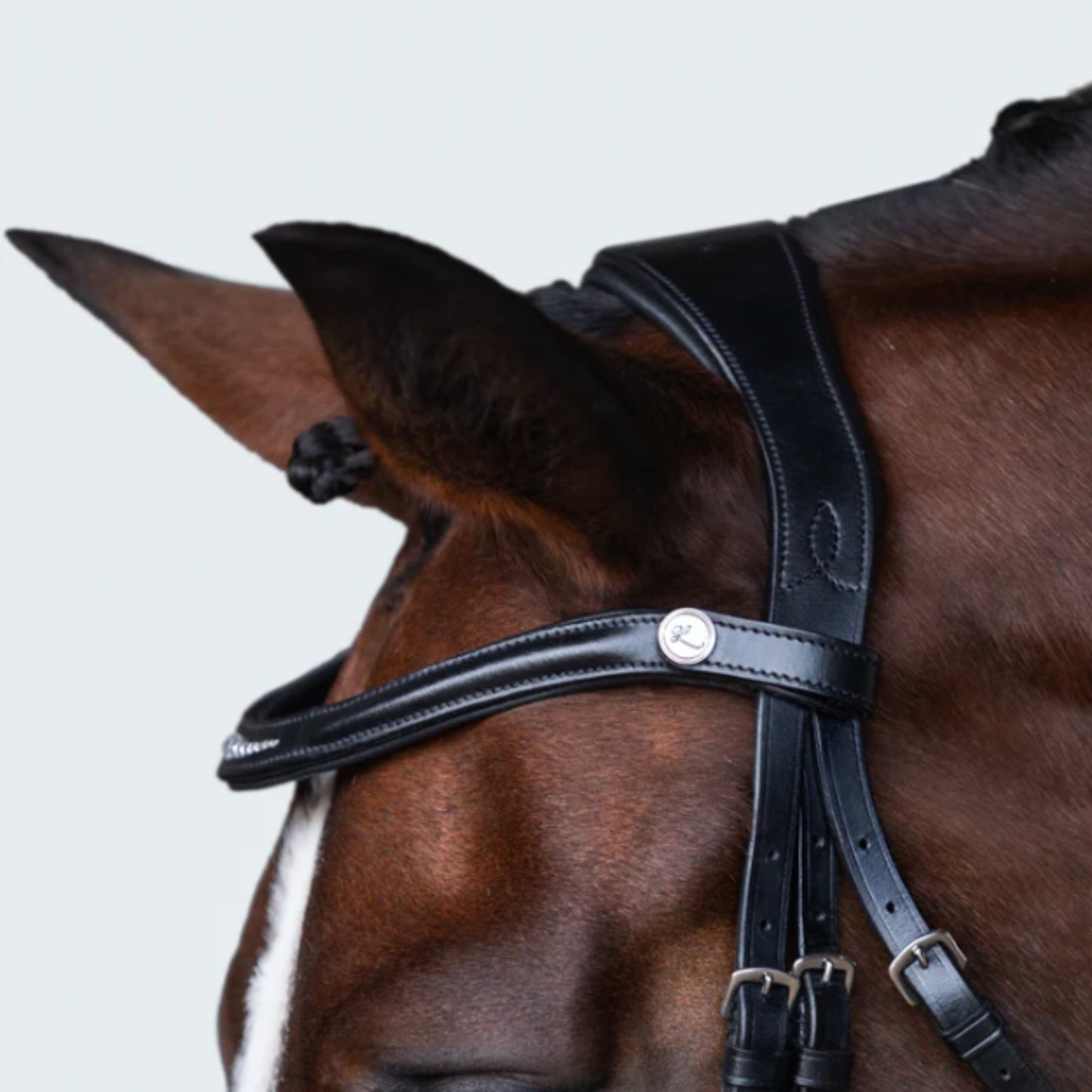 Lumiere Stella Cavesson Bridle - EQ Saddlery