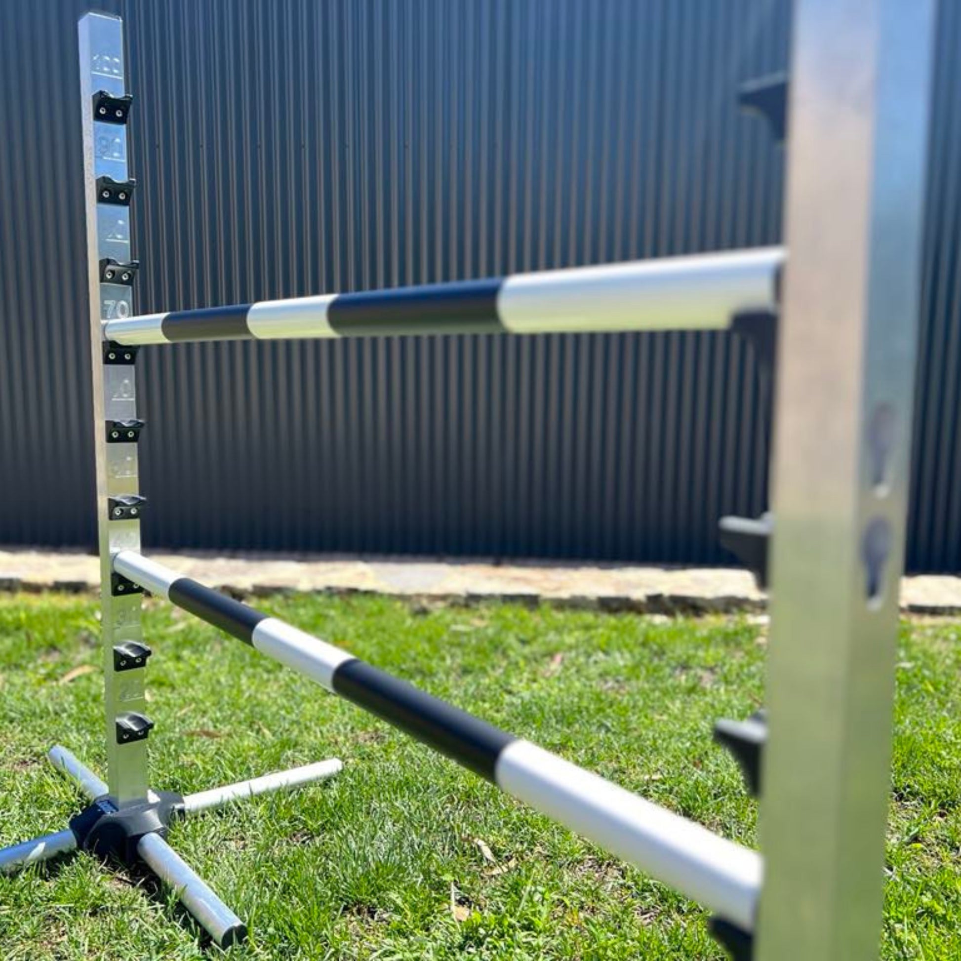 Sticky Jumps Without Wings - EQ Saddlery
