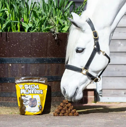 Stud Muffin Horse Treats