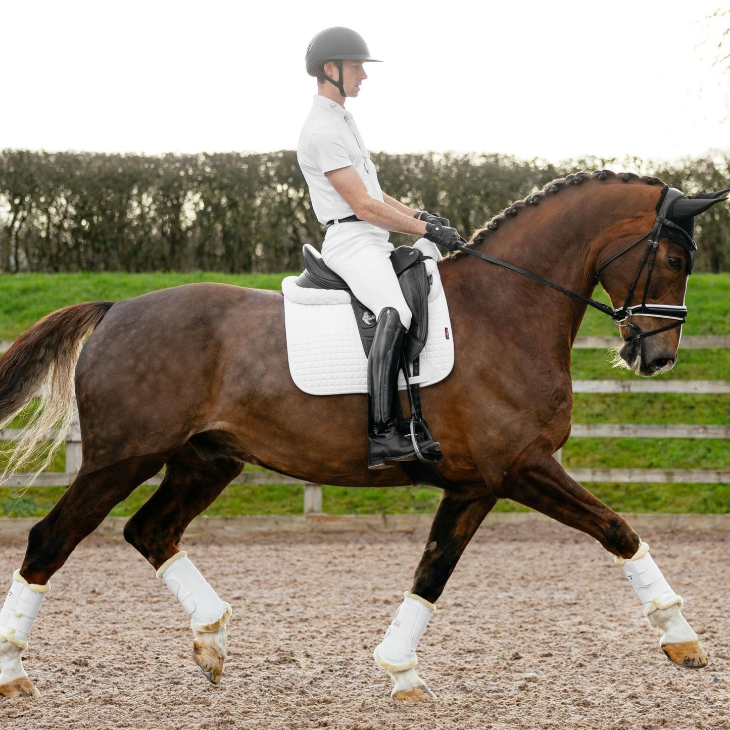 LeMieux Suede Dressage Square Saddle Pad