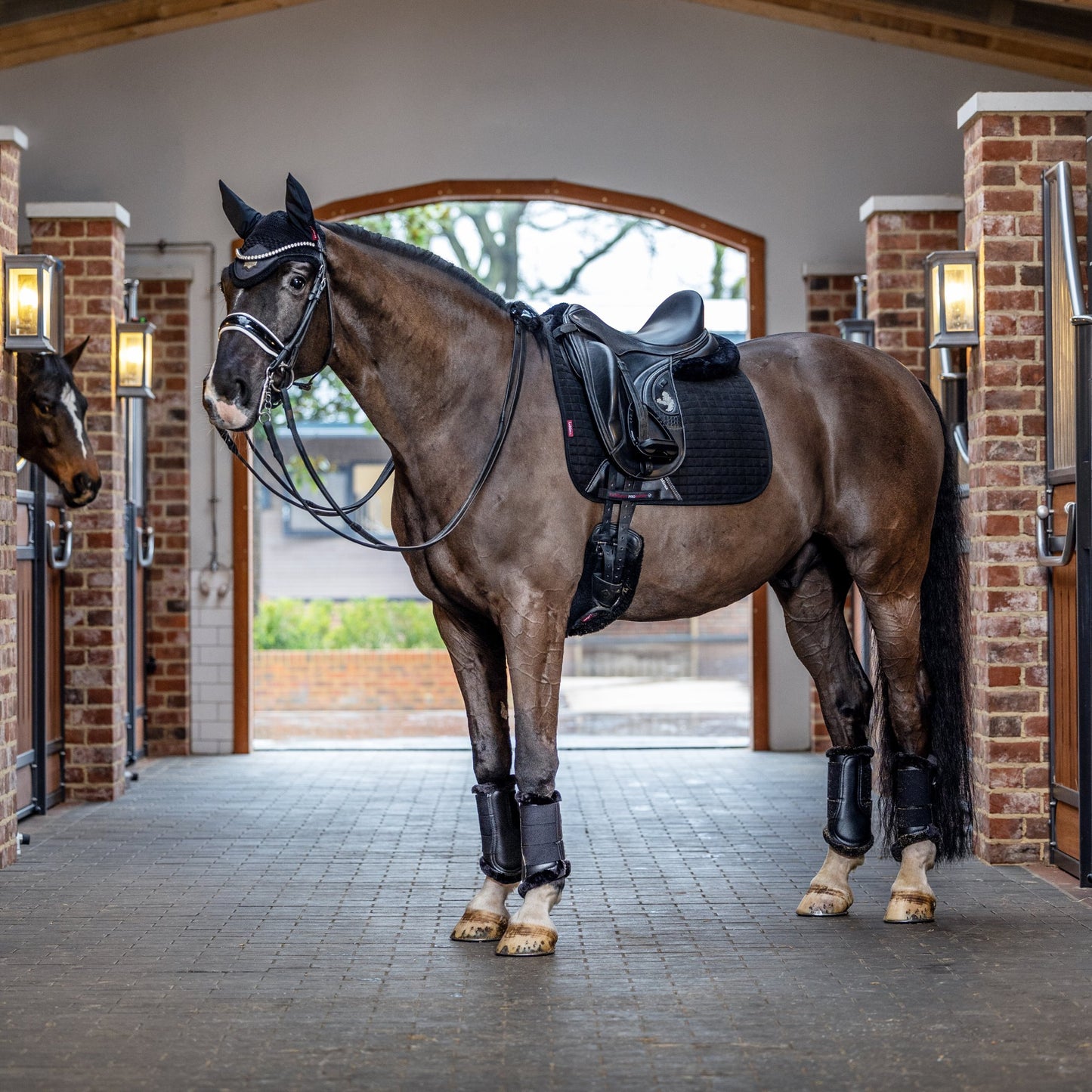 LeMieux Suede Square Dressage Saddle Pad