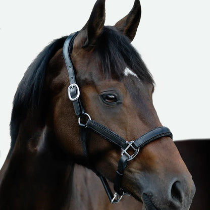 Lumi Pony Vegas Glitter Leather Halter - EQ Saddlery