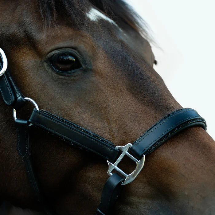 Lumi Pony Vegas Glitter Leather Halter - EQ Saddlery