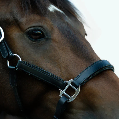 Lumi Pony Vegas Glitter Leather Halter - EQ Saddlery