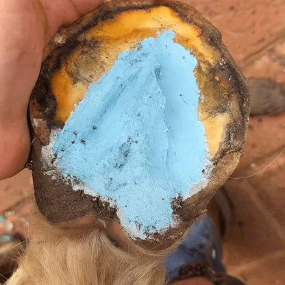 The Hoof Co Hoof Paste Blue