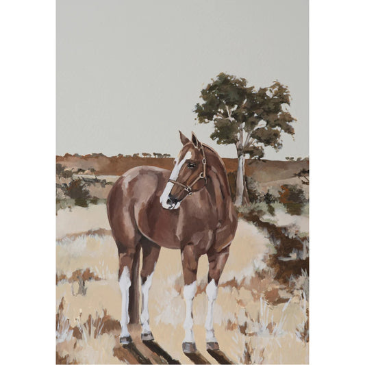 Whitney Spicer Too Beautiful To Break A4 Print - EQ Saddlery