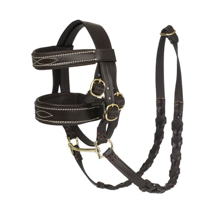 LeMieux Toy Pony Hunter Bridle - EQ Saddlery