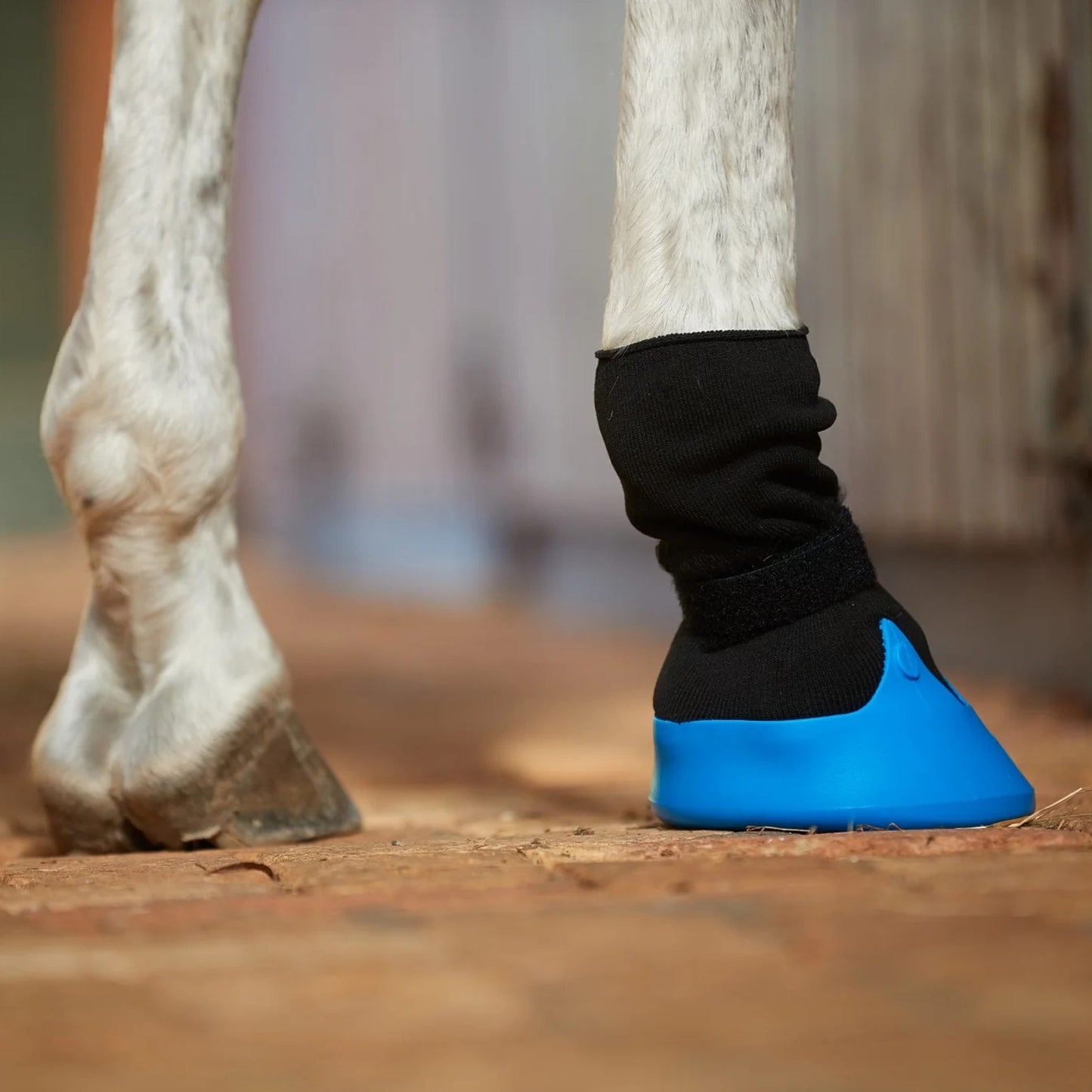 Tubbease Hoof Sock