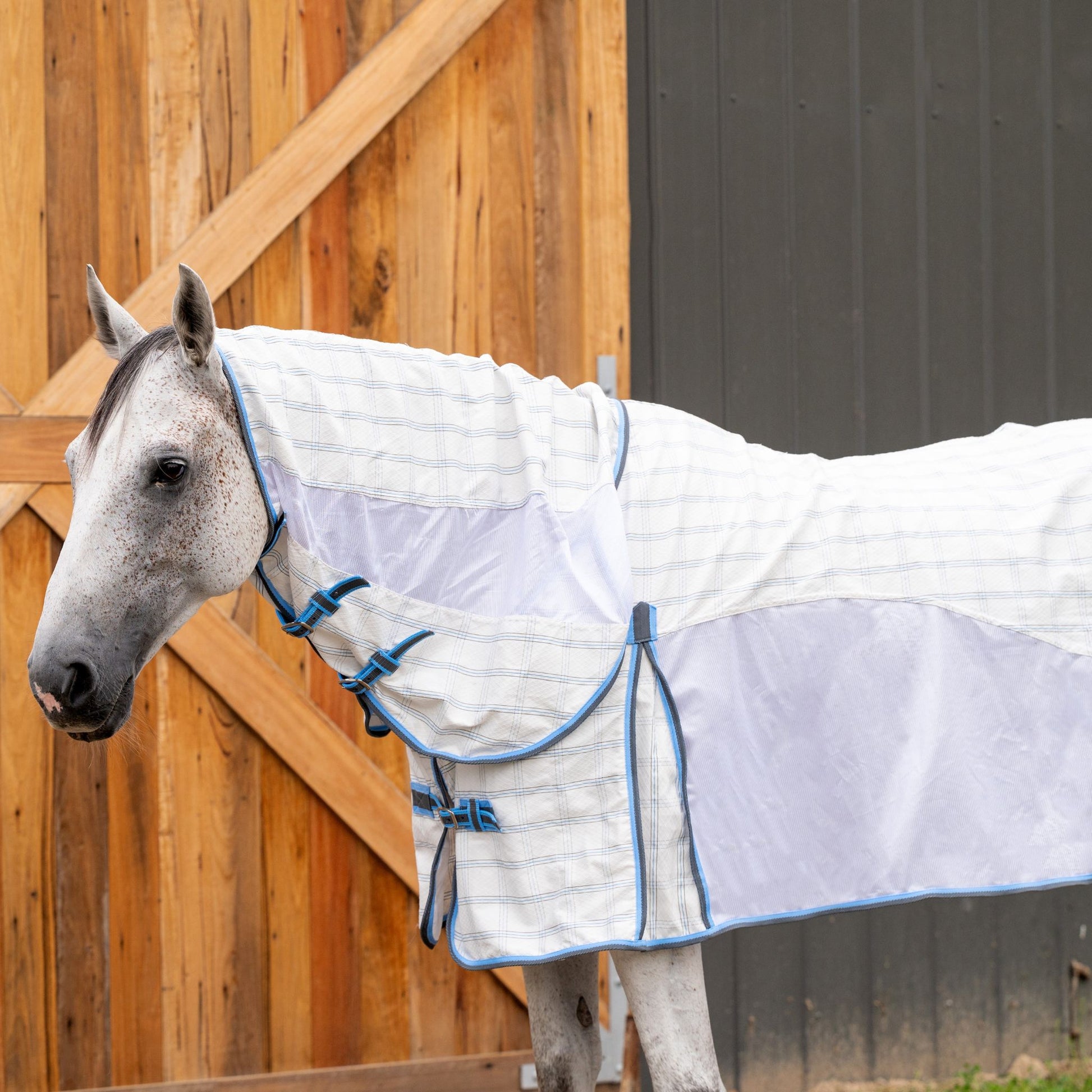 EQ Armour Nitro Air Combo - EQ Saddlery