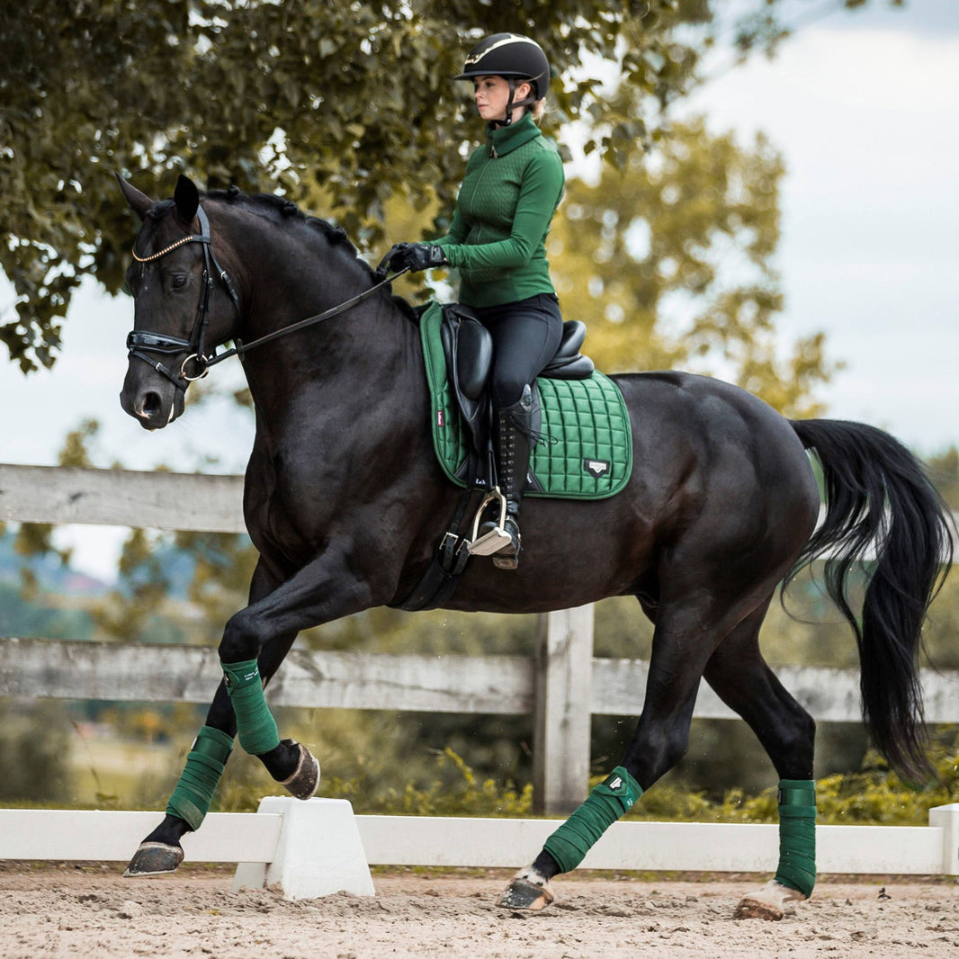 Horse Shop Horse Gear for Sale EQ Saddlery