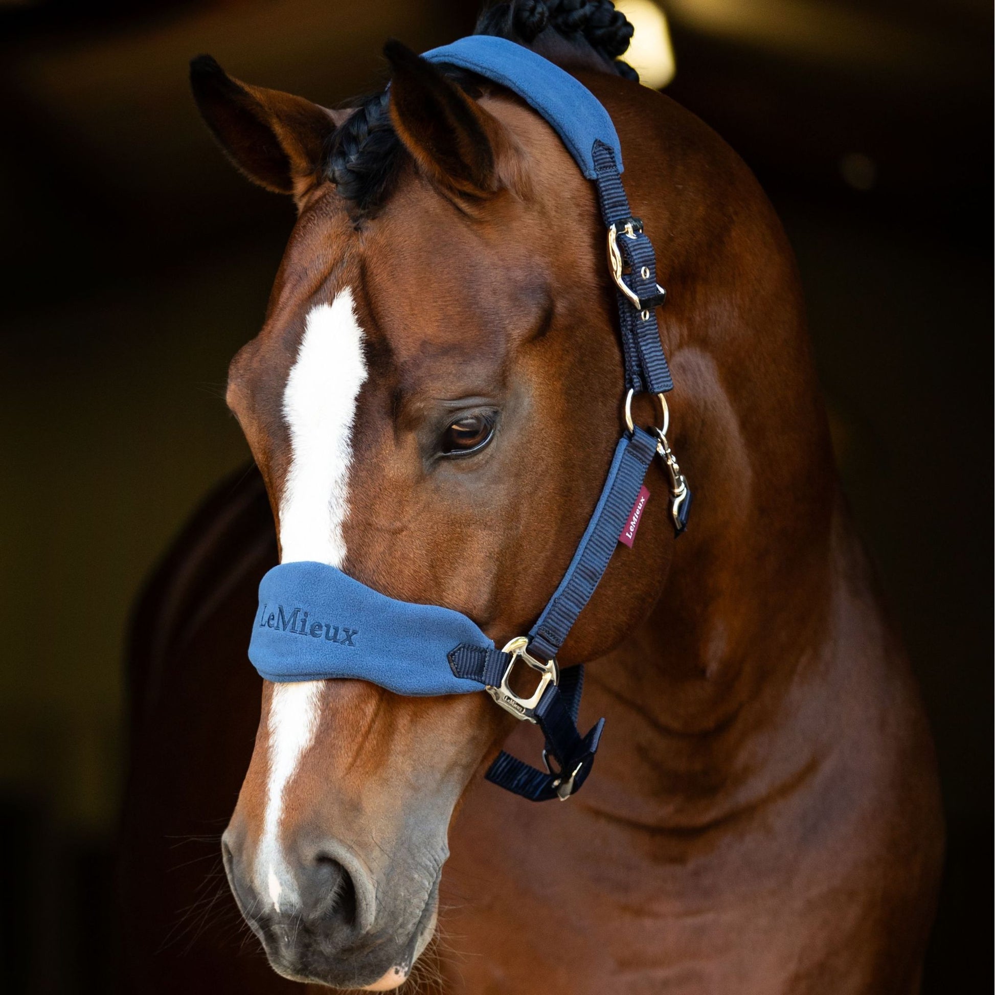LeMieux Vogue Headcollar and Lead Rope - EQ Saddlery