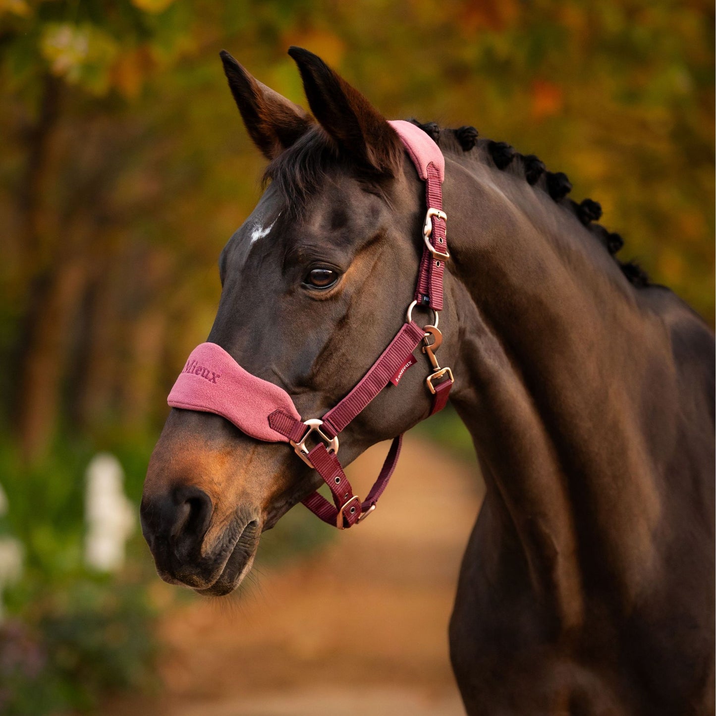 LeMieux Vogue Headcollar and Lead Rope - EQ Saddlery