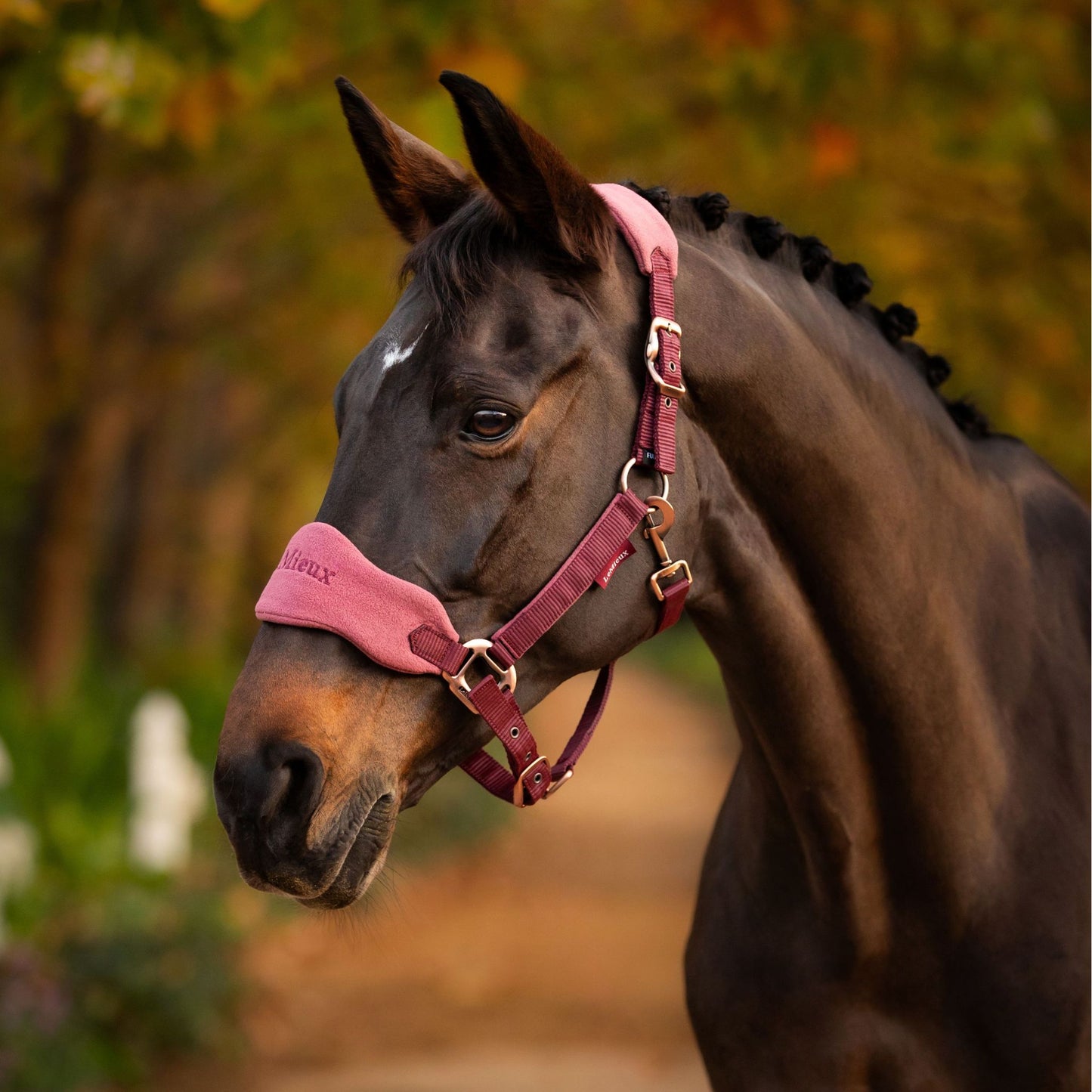 LeMieux Vogue Headcollar and Lead Rope