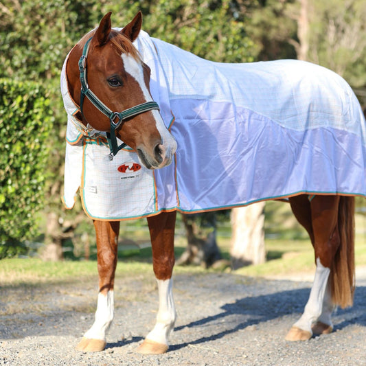 Zilco Econo Hybrid Combo Rug - EQ Saddlery