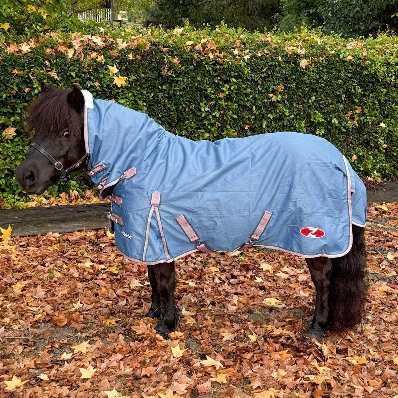 Zilco Mini Guardian Rainsheet Combo Rug