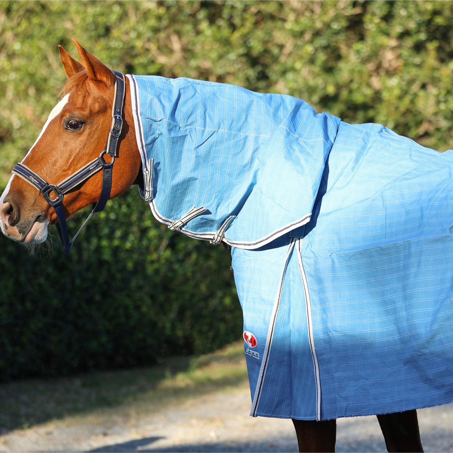 Zilco Hamilton Rain Resistant Canvas Combo - EQ Saddlery