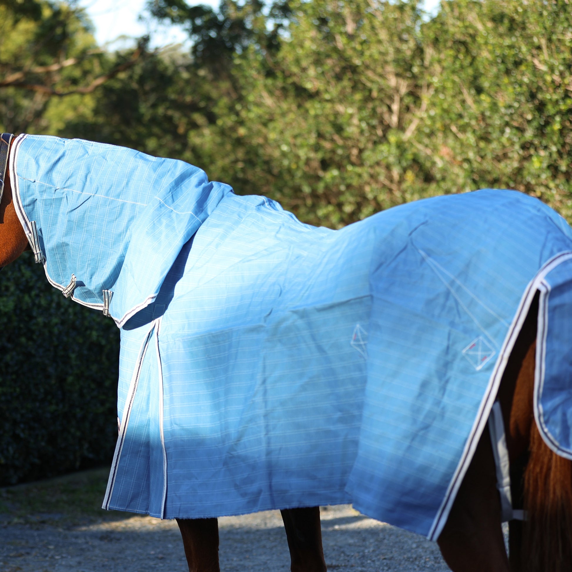 Zilco Hamilton Rain Resistant Canvas Combo - EQ Saddlery