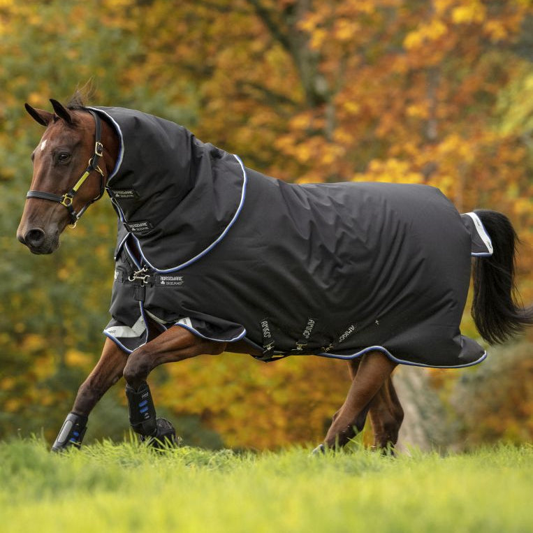 Horseware Amigo Bravo 12 Plus 250g Rug - EQ Saddlery