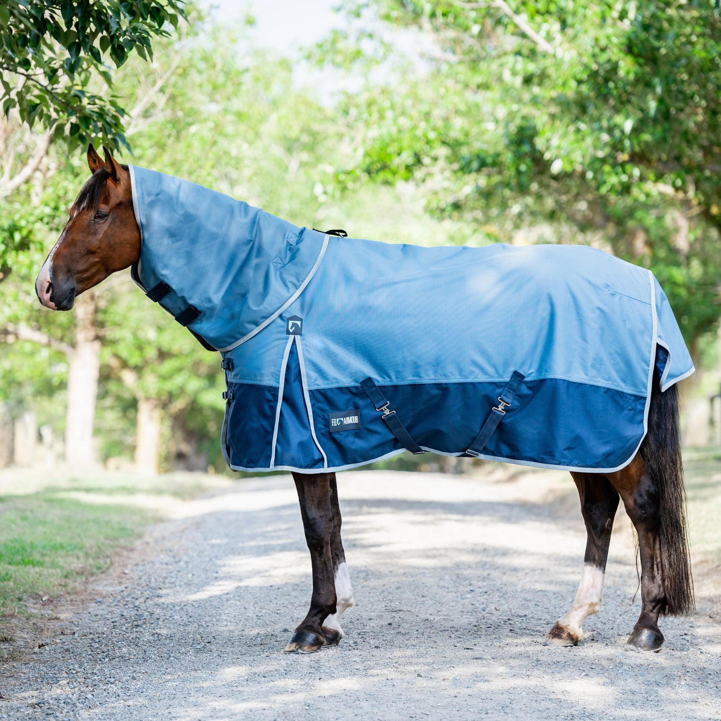 EQ Armour Ascent 1200D 180g Detach-a-Neck - EQ Saddlery