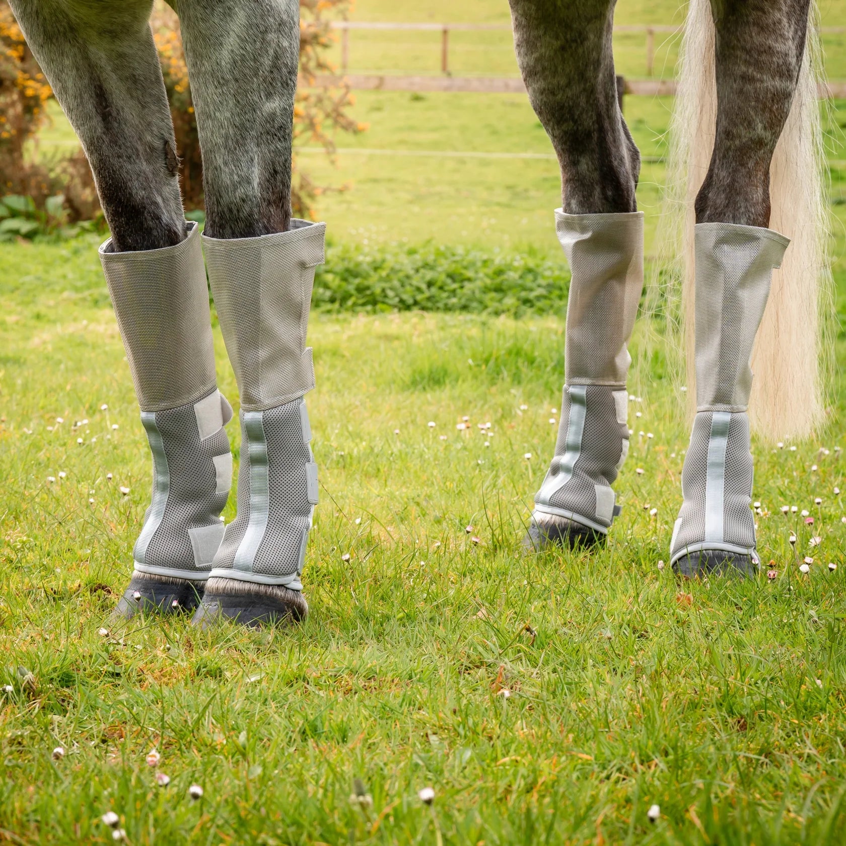 Fly boots sales
