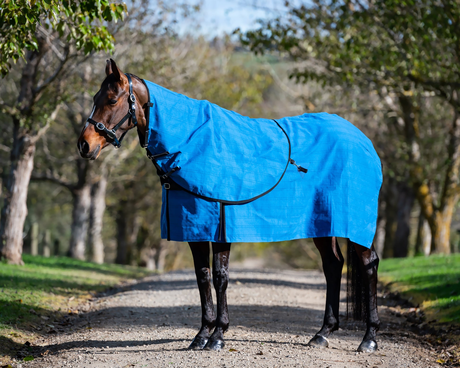 Devon Unlined Canvas Neck Rug – EQ Saddlery