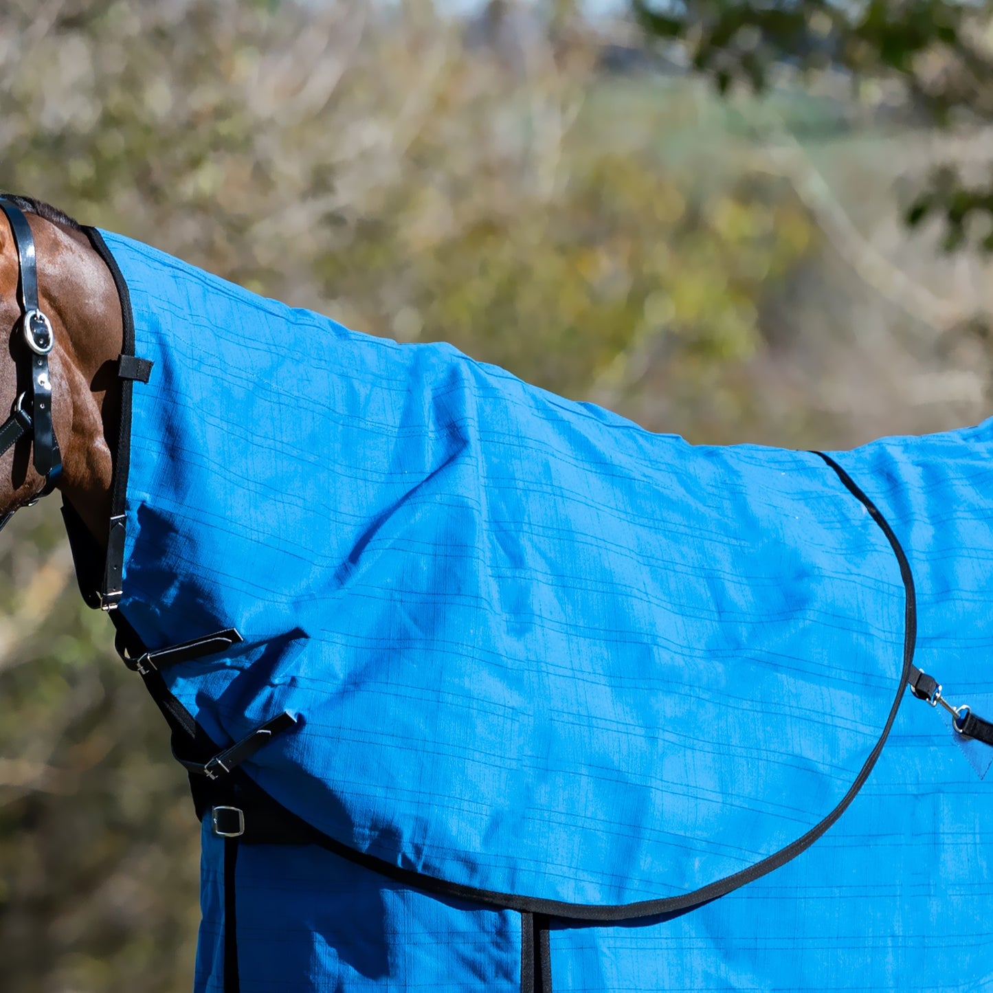 Devon Unlined Canvas Neck Rug – EQ Saddlery