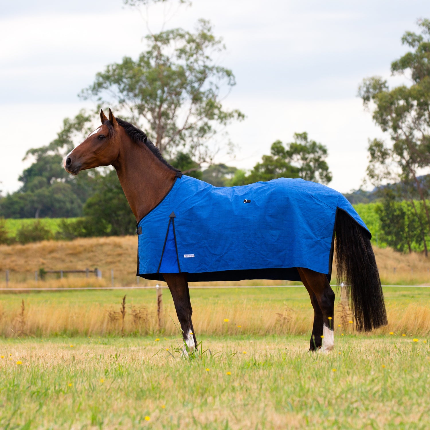 Devon Unlined Canvas Rug - EQ Saddlery
