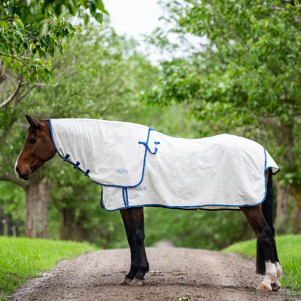 Devon Diamond Light Neck Rug – EQ Saddlery