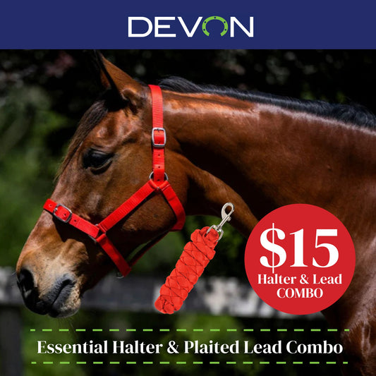 Devon Essential Halter