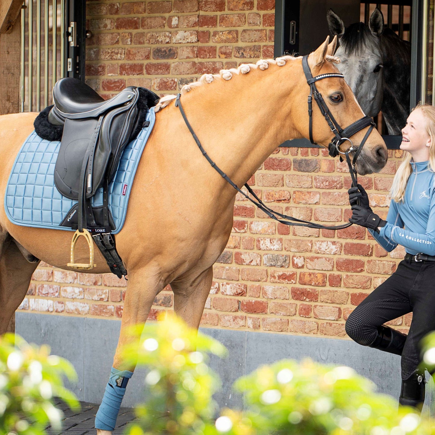 LeMieux Loire Classic Satin Square Dressage Saddle Pad