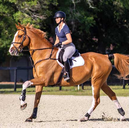 Garmin Blaze Equine Wellness System