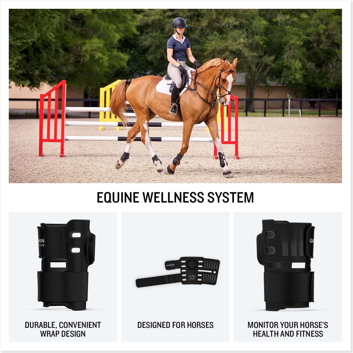 Garmin Blaze Equine Wellness System