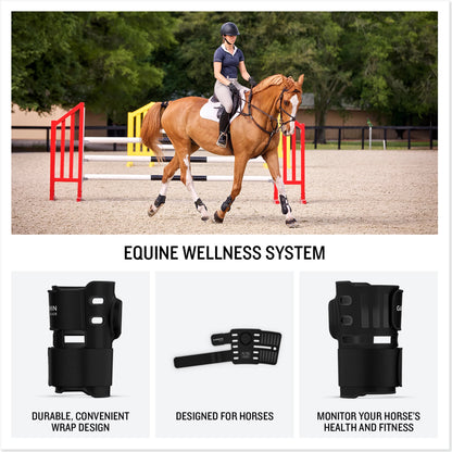 Garmin Blaze Equine Wellness System