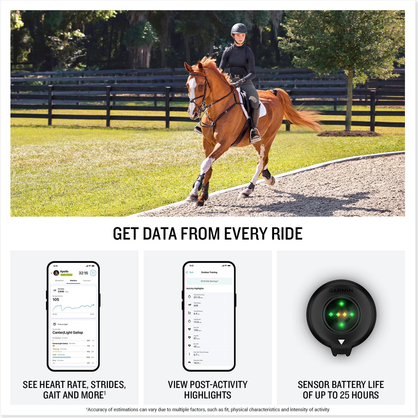 Garmin Blaze Equine Wellness System