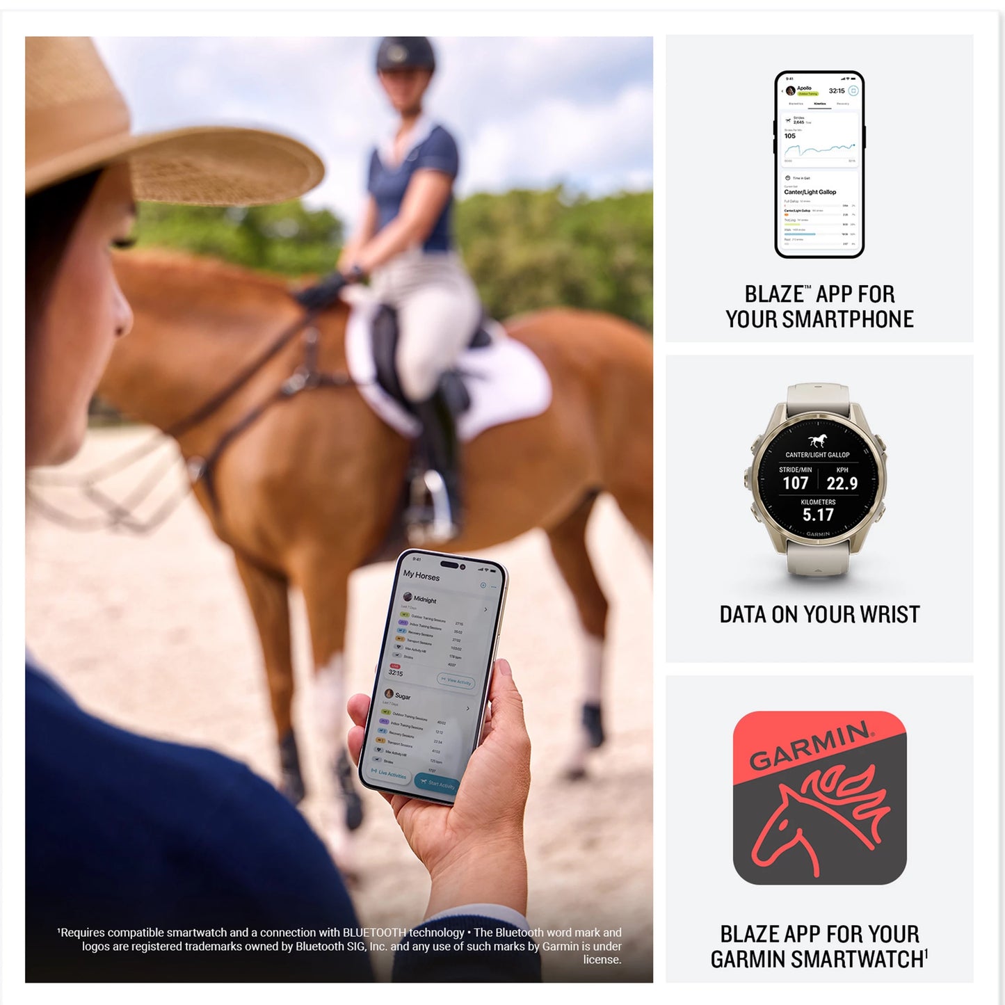 Garmin Blaze Equine Wellness System