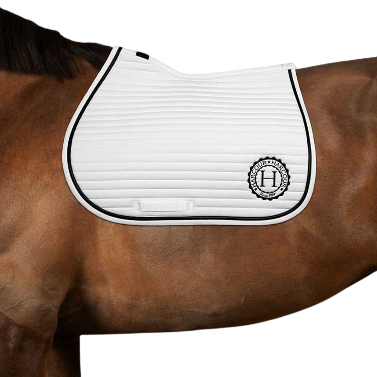 Harcour Karembar Jump Saddle Pad