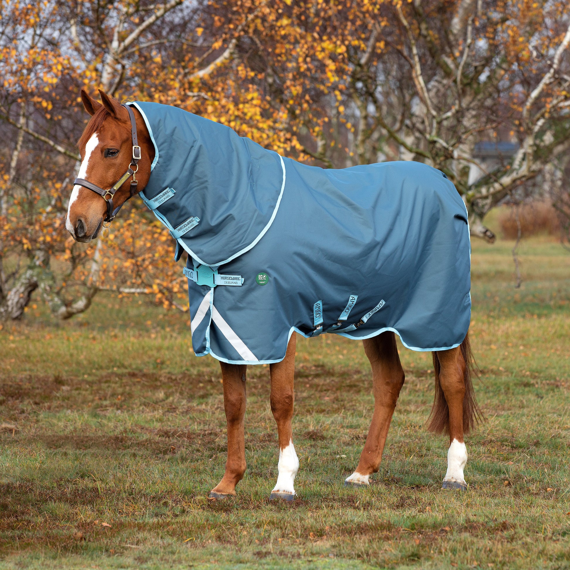 Amigo AmEco Plus 250g Combo Rug - EQ Saddlery