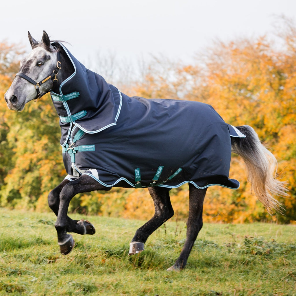Horseware Amigo Bravo 12 Plus 250g Rug - EQ Saddlery